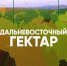 Информация для участников программы «Дальневосточный гектар» - Облученский район